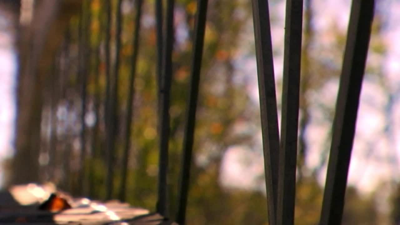 Bridge Rails