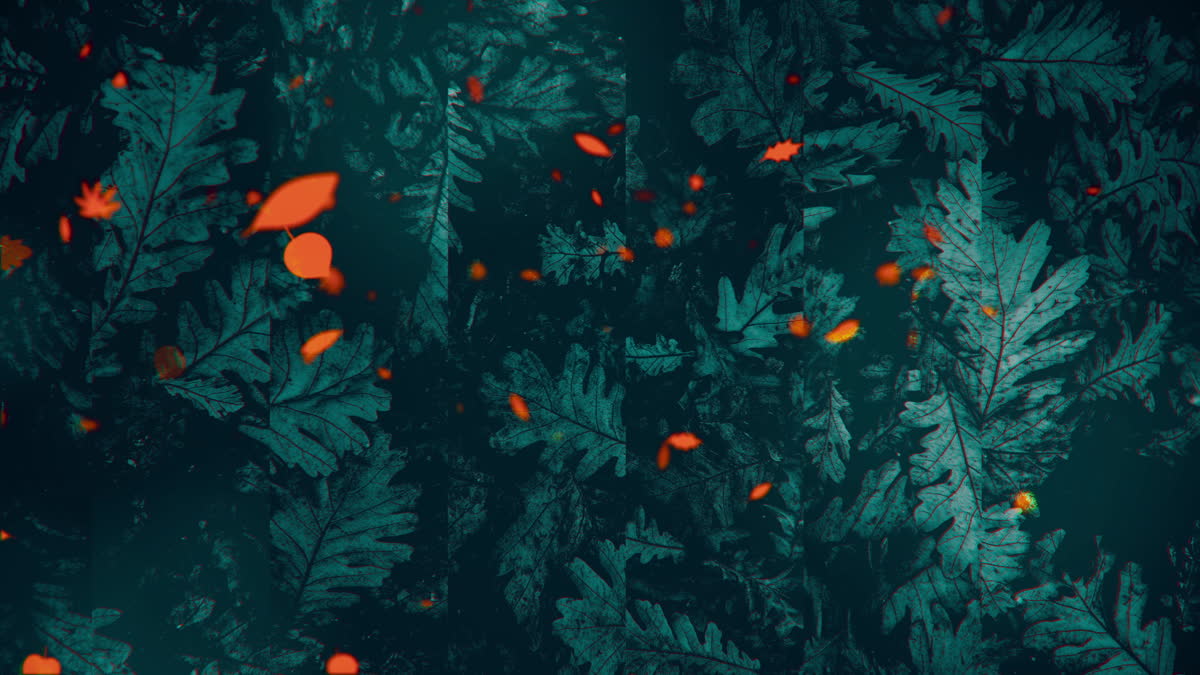 Autumn Memories 1