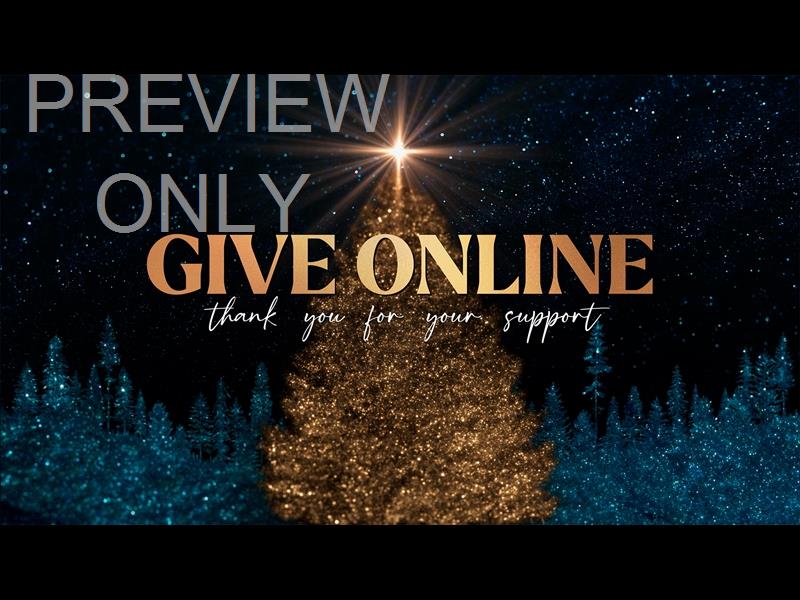 Sparkling Christmas Give Online Still