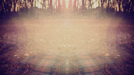 Fall Geometry Picnic Still