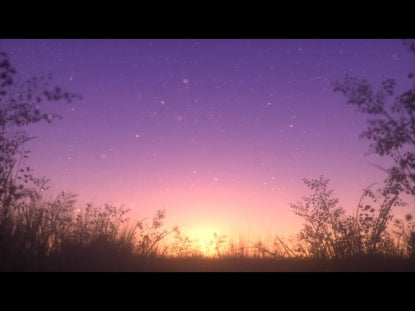 Summer Fireflies Golden Sunset