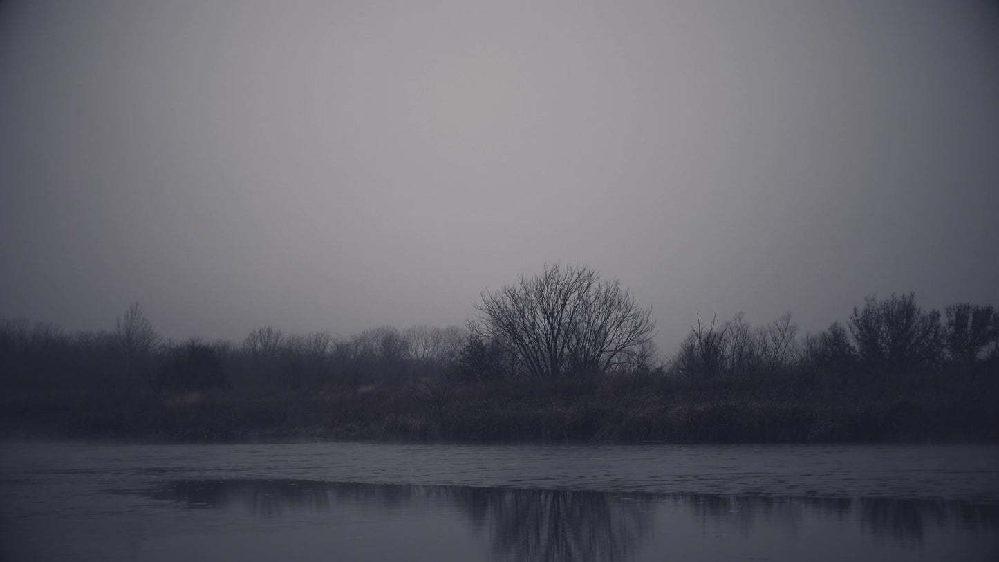 Bleak Beauty Shoreline Still