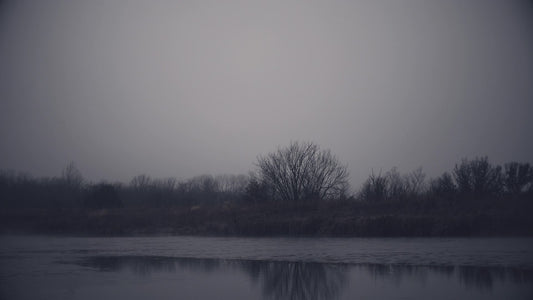 Bleak Beauty Shoreline Still