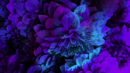 Floral Paint 06 Still