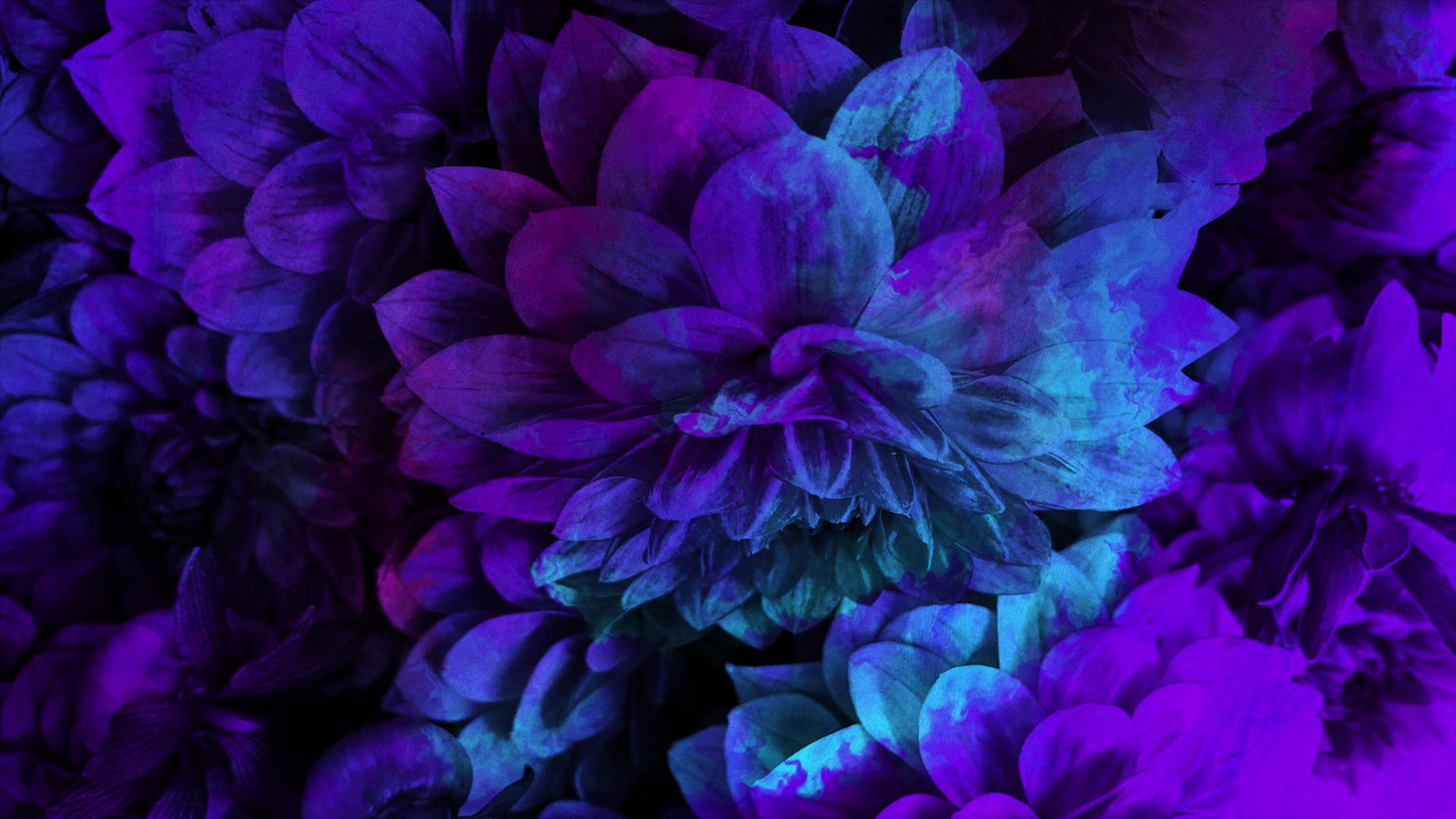 Floral Paint 06