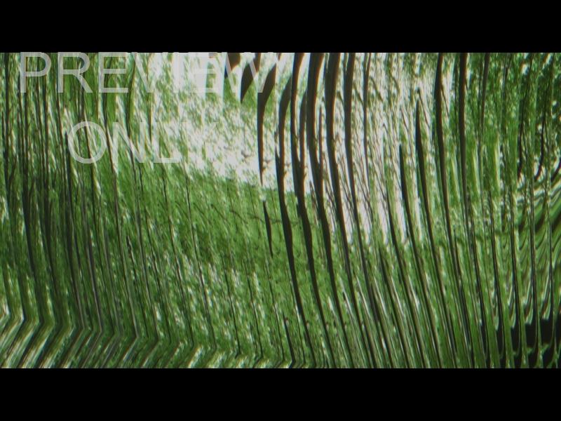 Force Of  Still 05