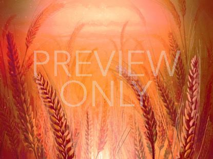 Harvest Sowing 4 Still