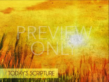 Golden Sun Scripture Still