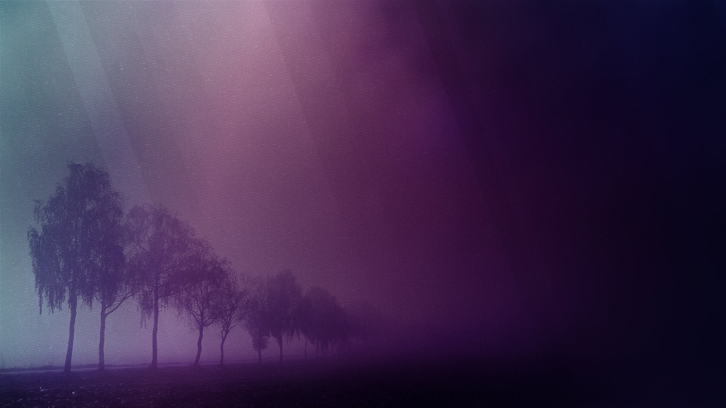 Autumn Mist 4 Still