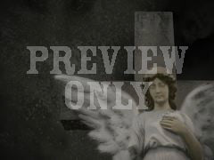Angel 2