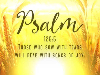 Harvest Sowing Psalm Motion