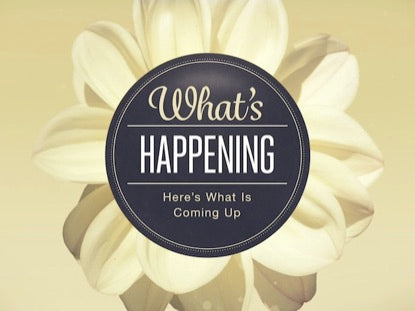 Flowers - What's Happening