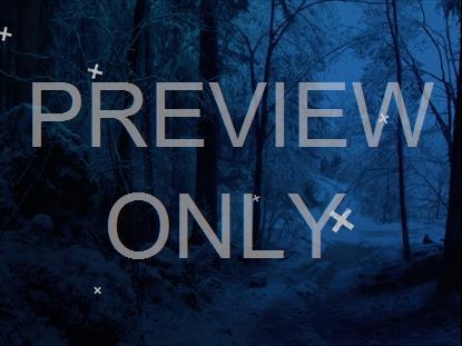 Blue Winter Forest Path Big Crosses