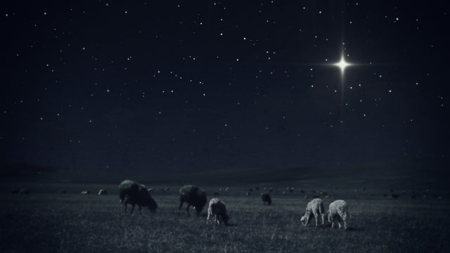 Christmas Night 02
