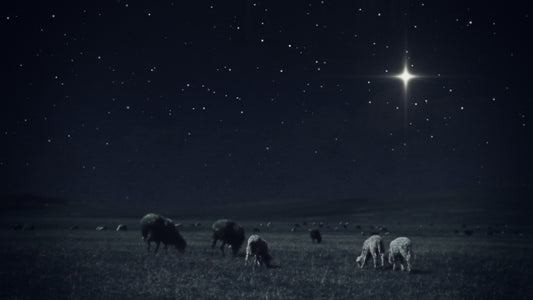 Christmas Night 02