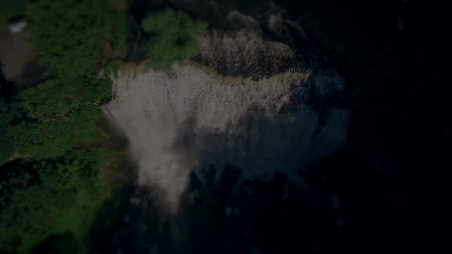 Nature'S Force 16 Darken