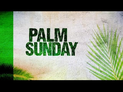 Palm Sunday Vol 1. Title