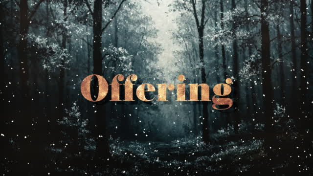 Snow Day Offering