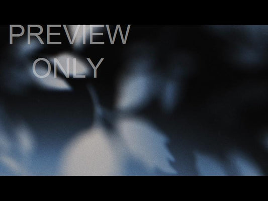 Autumn Again Still 01