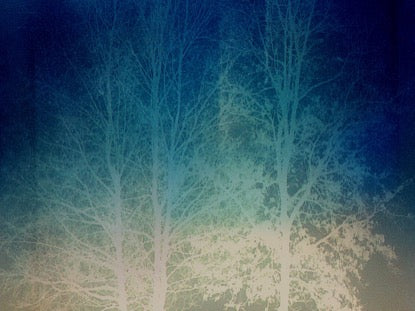 Trees Of Grace 2 Motion