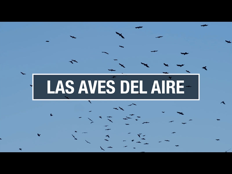 Las Aves Del Aire