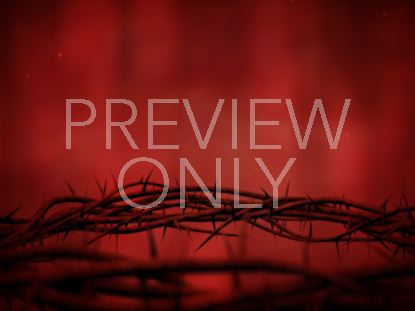 Crown Of Thorns Red Spin