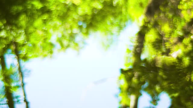 Living Waters 04