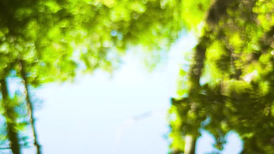 Living Waters 04