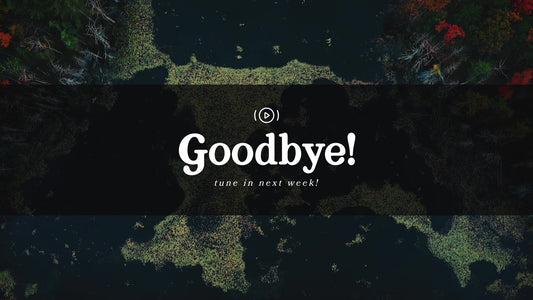 Autumn Colors Exit Stream Still