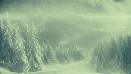 Holiday Visions 7 Alt Still