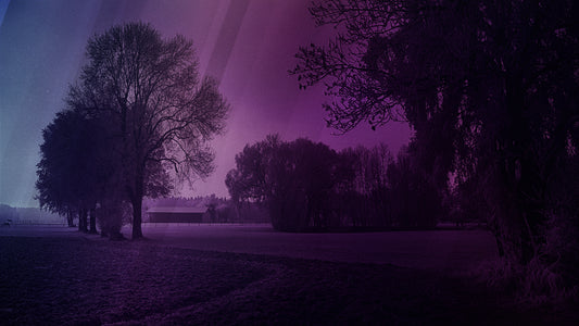 Autumn Mist 10 Still