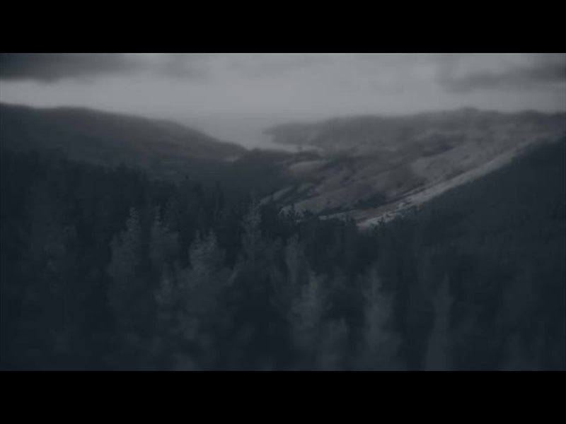 Aerial Bliss 4 Alt