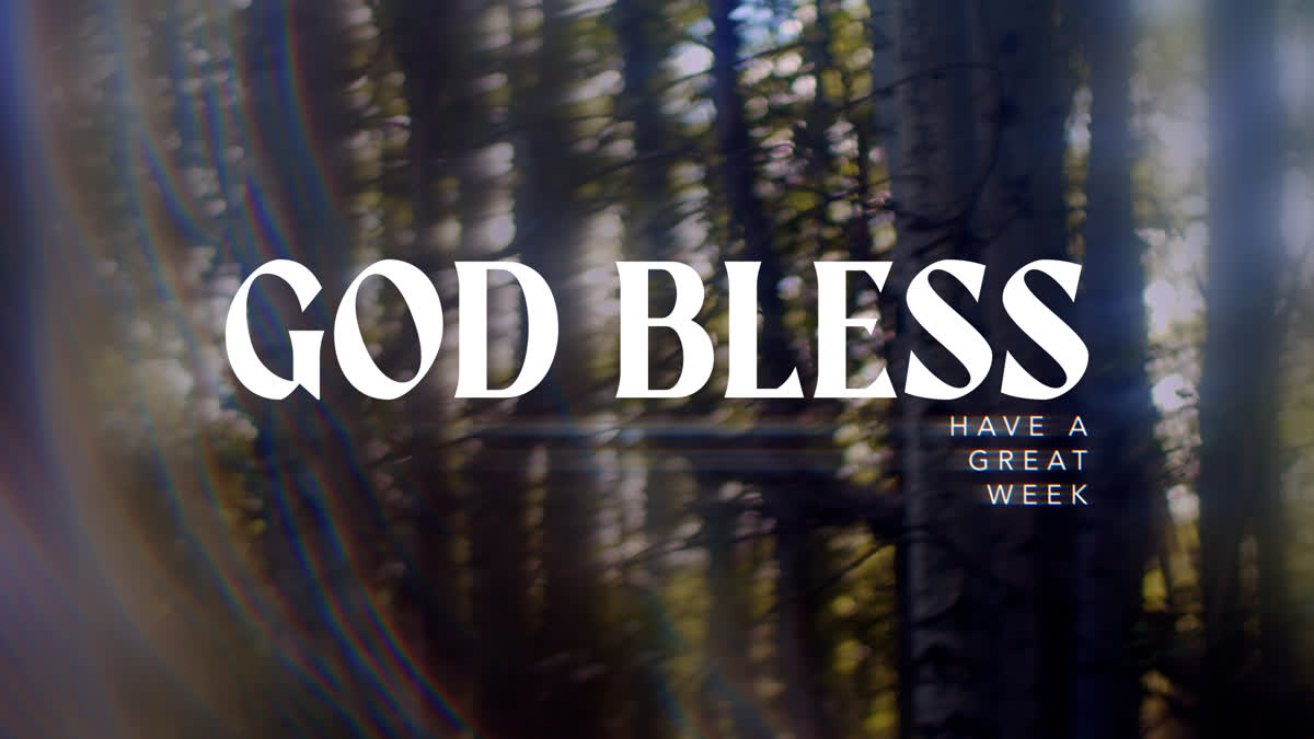 Like A Tree Still God Bless