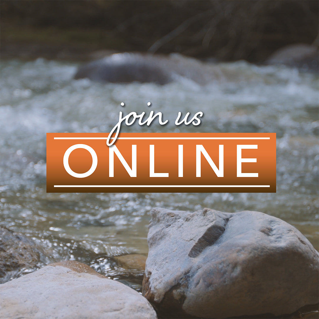Mountain Hike Join Us Online