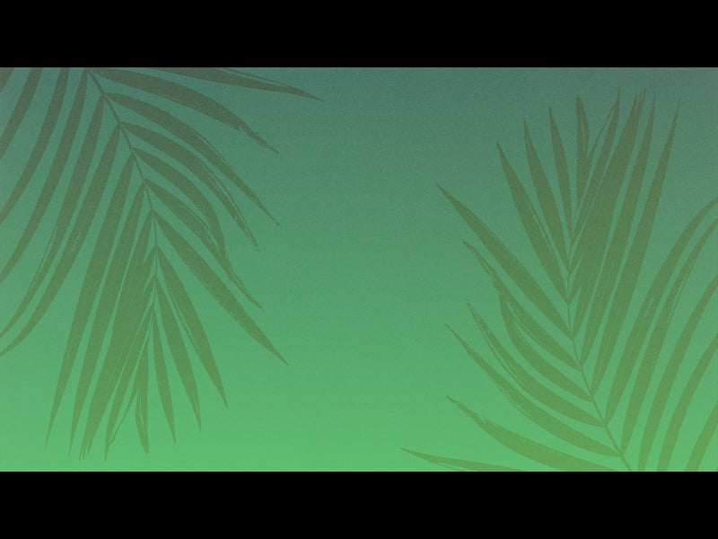 Risen Palms 3
