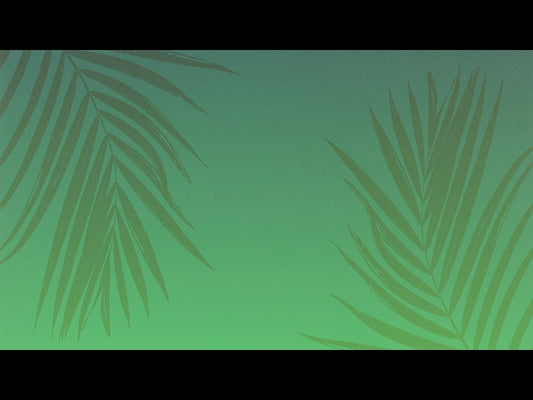 Risen Palms 3