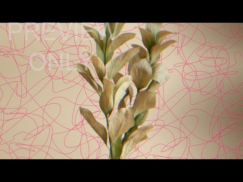 Natro Still 07