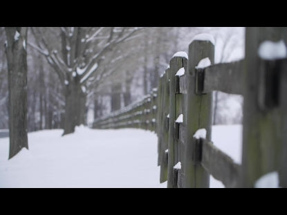 Snow Winter Background 11