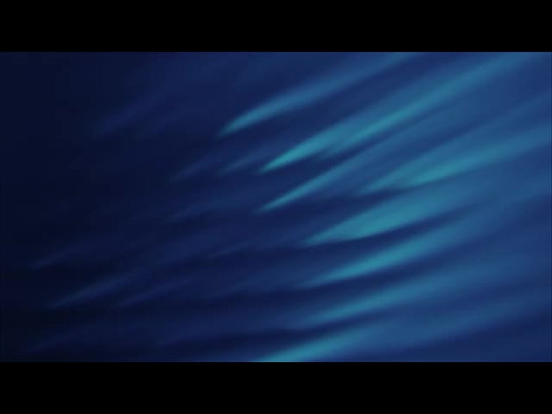 Aqua Scales 5