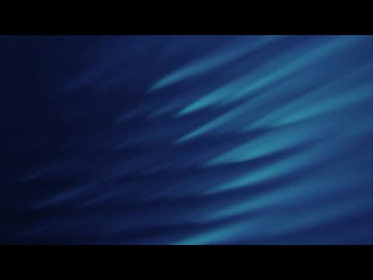 Aqua Scales 5