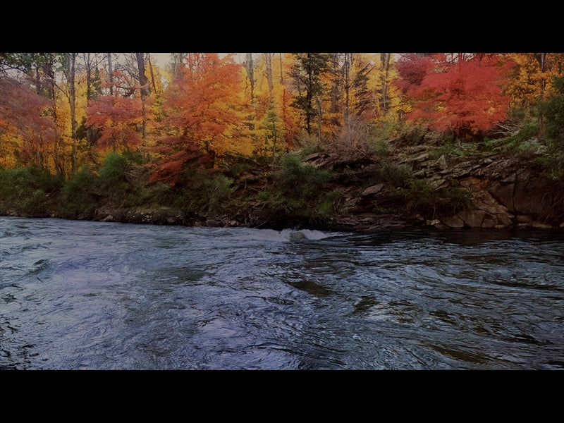 Northwest Fall 13