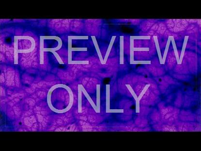 Dna Teaching Still 1