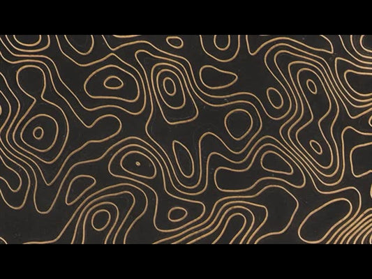 Topo Drawing 2