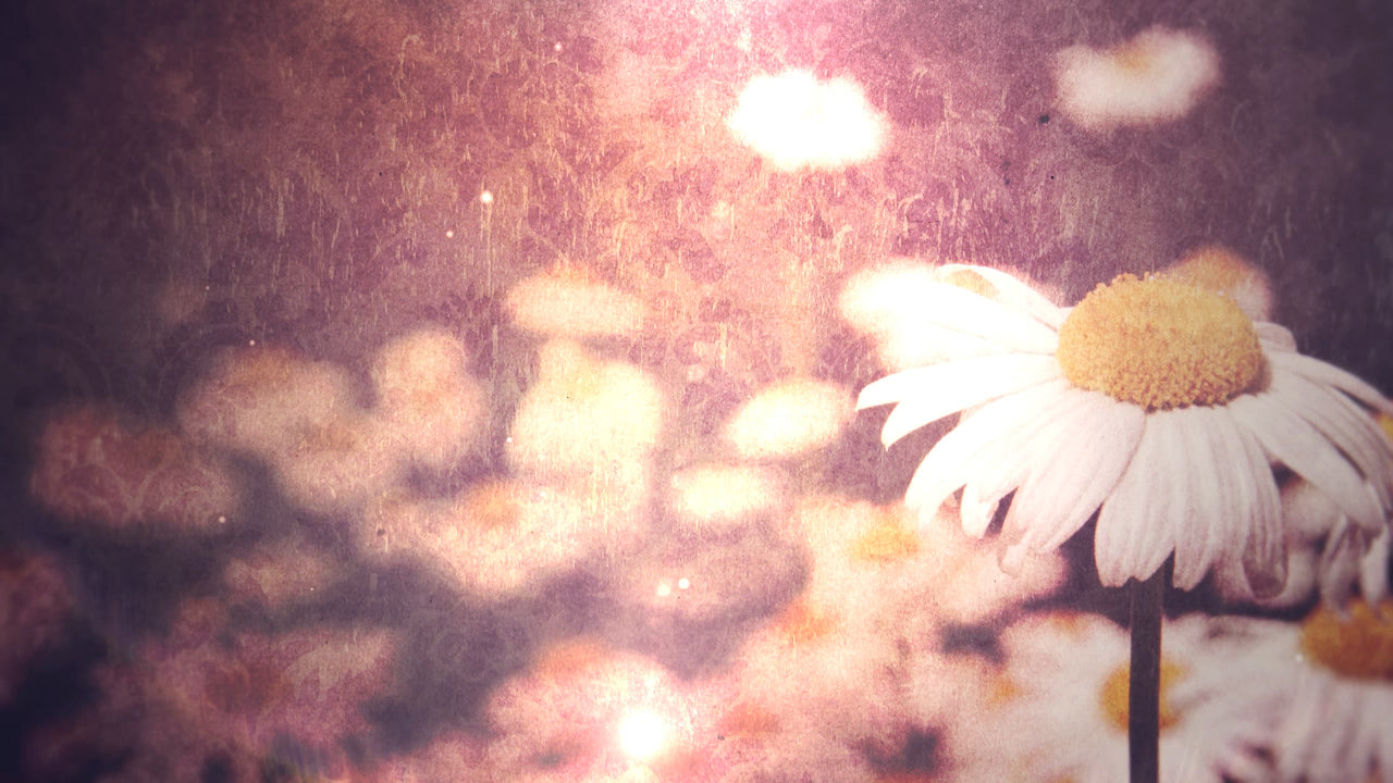 Spring Glow 01 Still