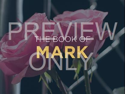 The Book Of Mark Flowers
