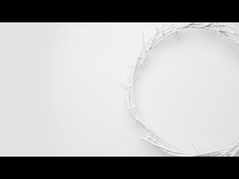 Crown Of Thorns White 9