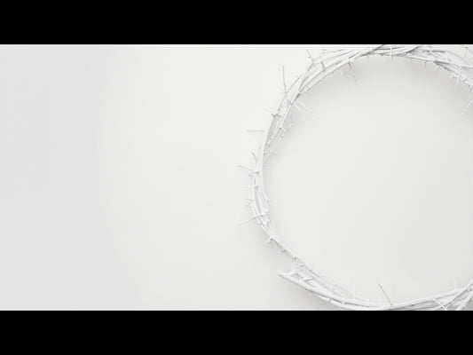 Crown Of Thorns White 9