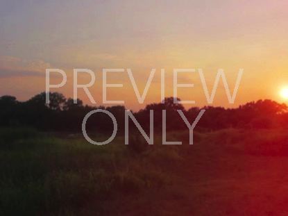 High Fashion Nature 4