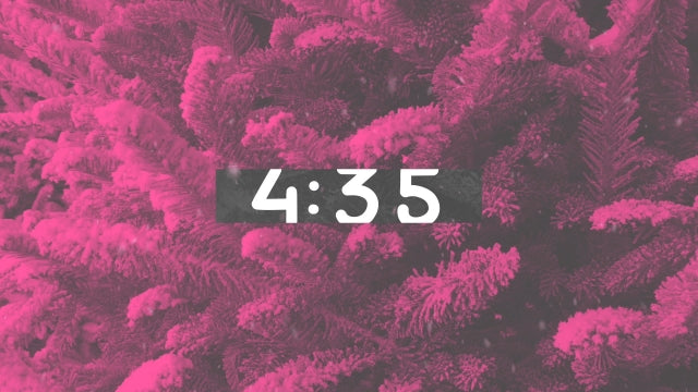 Modern Winter Trees Countdown