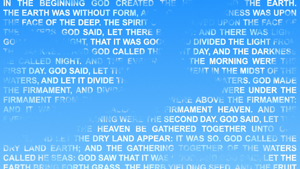 In The Beginning 1b